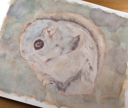 �y�b�g ����G �ё����i �H�� ���h��R����,���֎s,�F���s,�R���s