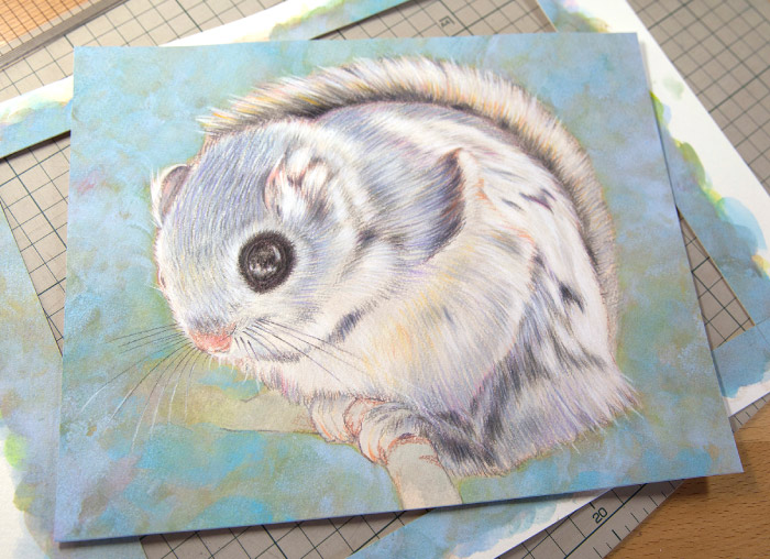 �y�b�g ����G �ё��搻�� �H���̗l�q �T�C�Y�ɃJ�b�g���đS�̓I�ɂ܂Ƃ܂��Ă��邩�`�F�b�N���܂����m��,���É��s,�L�c�s,��{�s,��t�s,�D���s