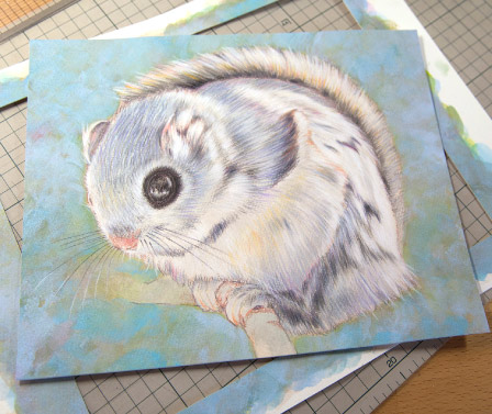 �y�b�g ����G �ё����i �H���`�����ݍ��쌧,�����s,��o�s,�ۋT�s