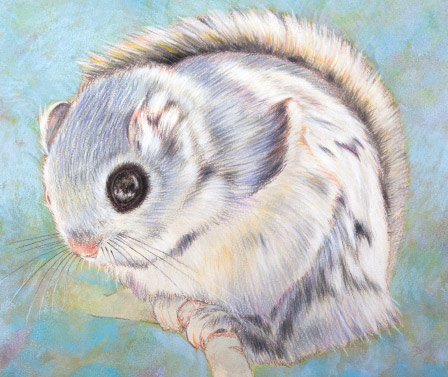 ペット 似顔絵 肖像画製作 工程の様子 完成です。愛知県,名古屋市,豊田市,一宮市,千葉市,船橋市