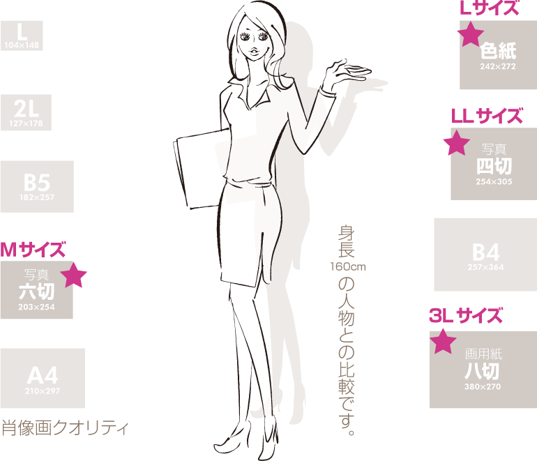 �y�b�g����G���� �p���̑傫���m�F �T�C�Y���o�ɂ��� �_�ސ쌧,���l�s,���s,���͌��s,���{��s,����s