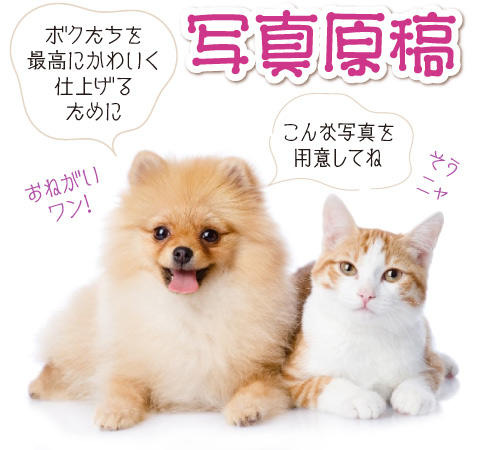 �y�b�g����G.�ё��搻�� �G�͎ʐ^�̂Ƃ���Ɍ�`�����܂��̂ŁA�ʐ^���ƂĂ��厖�ł��B�ǂ̂悤�Ȏʐ^�����p�ӂ������������������������Ă���܂��B ���Q��,���R�s,�����s,�V���l�s