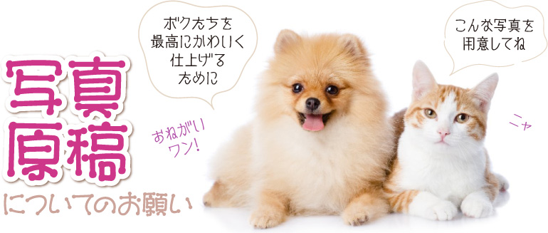 ペット似顔絵.肖像画製作 絵は写真のとおりに御描きしますので、写真がとても大事です。どのような写真をご用意いただきたいかをご説明しております。 ◆