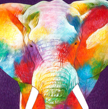 �y�b�g����G���� �������T���v��(�ڍ׃V�J �~�j�`���A�E�V���i�E�U�[�Q�n��,����s,�O���s,���c�s