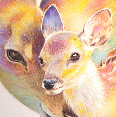 �y�b�g����G���� �������T���v��(�ڍ׃V�J �y�L�j�[�Y�_�ސ쌧,���l�s,���s,���͌��s,���{��s,����s