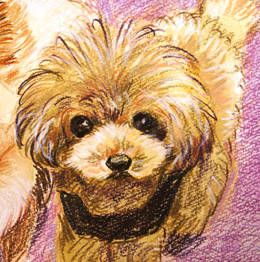 �y�b�g����G���� �������T���v���|�����j�A�� �����s,���c�s