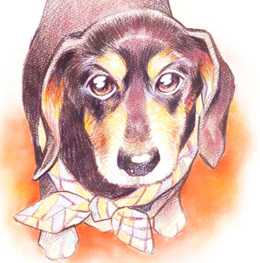 �y�b�g����G���� �������T���v���~�j�`���A�E�V���i�E�U�[ �����s,���n��