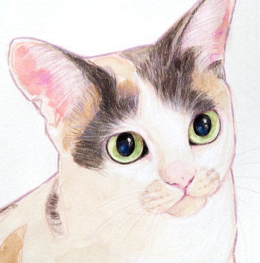 �y�b�g����G���� �������T���v���t�����`�E�u���h�b�O �����s,��c��