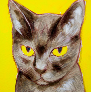 �y�b�g����G���� �������T���v���A�����J���E�V���[�g�w�A �����s,�i���