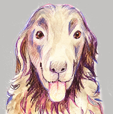 �y�b�g����G���� �������T���v���}���`�J�� �����s,������