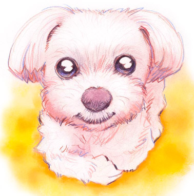 �y�b�g����G���� �������T���v���m���E�F�[�W�����E�t�H���X�g�E�L���b�g �����s,������