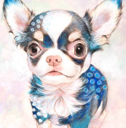 �y�b�g����G.�ё��搻�� �������T���v��(�ڍ׃T���l�C���`���� �����s,���n��