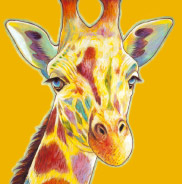 �y�b�g����G.�ё��搻�� �������T���v��(�ڍ׃T���l�C���|�����j�A�� �����s,�i���