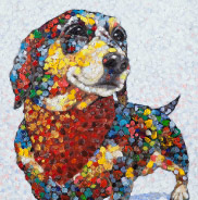 �y�b�g����G.�ё��搻�� �������T���v��(�ڍ׃T���l�C���~�j�`���A�E�V���i�E�U�[ �����s,������