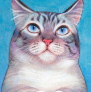 �y�b�g����G.�ё��搻�� �������T���v��(�ڍ׃T���l�C���A�r�V�j�A�� �R����,�b�{�s,�x�m�g�c�s,�s���s,�R���s