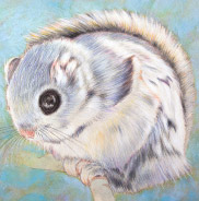 �y�b�g����G���� �������T���v��(�ڍ׃T���l�C�����u���h�[���E���g���[�o�[ ��