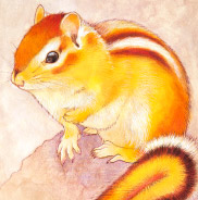 �y�b�g����G.�ё��搻�� �������T���v��(�ڍ׃T���l�C���r�V�����E�t���[�[ �����s,����