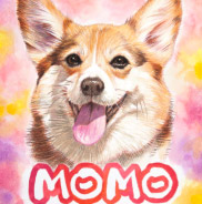 �y�b�g����G.�ё��搻�� ������уT���l�C���}���`�[�Y ��ʌ�,�������܎s,����s,��z�s