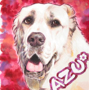 �y�b�g����G.�ё��搻�� ������уT���l�C���V�[�E�Y�[ ���ꌧ,��Îs,�F���s,���l�s,�ߍ]�����s