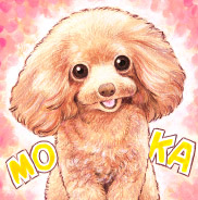 �y�b�g����G���� ������уT���l�C���J�j�[���w���E�_�b�N�X�t���g ���R��,���R�s,�q�~�s,�ÎR�s,�ʖ�s