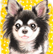 �y�b�g����G.�ё��搻�� ������уT���l�C�����[�N�V���[�E�e���A ���{,���s,��s,�����s,�����s,�L���s