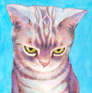 �y�b�g����G���� ������уT���l�C�����V�A���u���[ ���R��,���R�s,�q�~�s,�ÎR�s,�ʖ�s