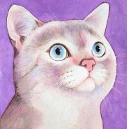 �y�b�g����G���� ������уT���l�C�����C���E�N�[�� ���R��,���R�s,�q�~�s,�ÎR�s,�ʖ�s