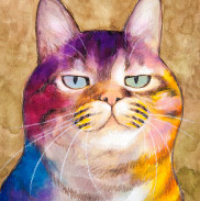 �y�b�g����G.�ё��搻�� ������уT���l�C���E�F���V���E�R�[�M�[�E�y���u���[�N ���]�s,�l�c�s,�o�_�s,�v�c�s,��c�s,�����s