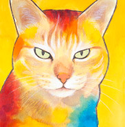 �y�b�g����G.�ё��搻�� ������уT���l�C���p�s���� ����s,�Ďq�s,�q�g�s,���`�s