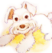 �y�b�g����G.�ё��搻�쐻�����T���v�� ���`���� ���쌧,�����s,��o�s,�ۋT�s