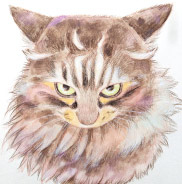 �y�b�g����G.�ё��搻�� �������T���v���L�X�R�e�B�b�V���E�t�H�[���h �_�ސ쌧,���l�s,���s,���͌��s,���{��s,����s