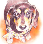 �y�b�g����G.�ё��搻�� �������T���v�����~�j�`���A�E�_�b�N�X�t���h ���s�{,���s�s,�F���s,�������s