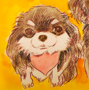 �y�b�g����G.�ё��搻�� �������T���v�����|�����j�A�� �O�d��,�Îs,�l���s�s,�ɐ��s,����s