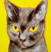 �y�b�g����G���� �������T���v���m���E�F�[�W�����E�t�H���X�g�E�L���b�g �����s,�]����