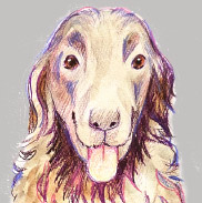 �y�b�g����G.�ё��搻�� �������T���v�����t�����`�E�u���h�b�O ���R��,���R�s,�q�~�s,�ÎR�s,�ʖ�s