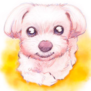 �y�b�g����G���쐻�����T���v�� �����[�N�V���[�E�e���A �����s,��c��