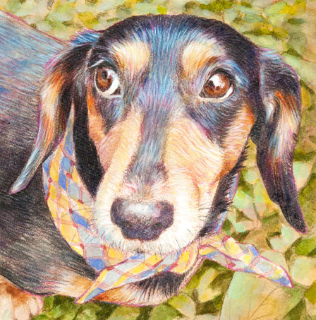 �y�b�g����G���쐻�����T���v��(�ڍ� �� �_�ސ쌧,���l�s,���s,���͌��s,���{��s,����s