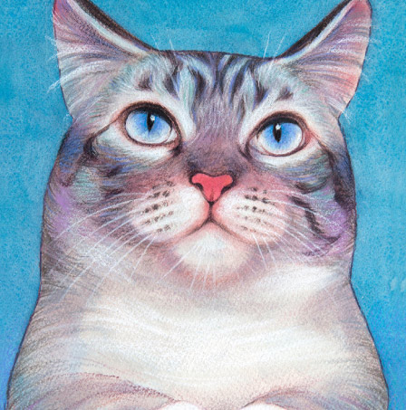 �y�b�g����G���� �������T���v��(�ڍהL �_�ސ쌧,���l�s,���s,���͌��s,���{��s,����s