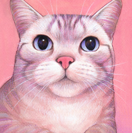 �y�b�g����G���� �������T���v��(�ڍהL �_�ސ쌧,���l�s,���s,���͌��s,���{��s,����s