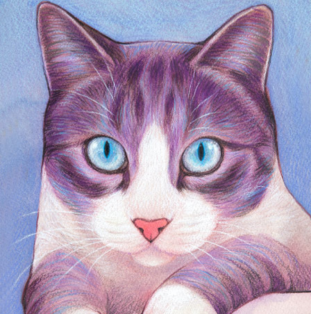 �y�b�g����G���� �������T���v��(�ڍהL �_�ސ쌧,���l�s,���s,���͌��s,���{��s,����s