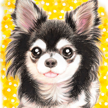 �y�b�g����G���� �������T���v��(�ڍ�)���O�h�[�� ���R��,���R�s,�q�~�s,�ÎR�s,�ʖ�s