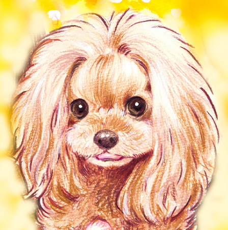 �y�b�g����G���� �������T���v��(�ڍ�)���V�A���u���[ ���R��,���R�s,�q�~�s,�ÎR�s,�ʖ�s