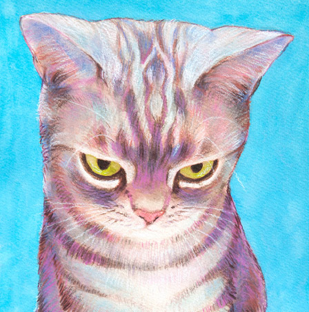 �y�b�g����G���� �������T���v��(�ڍ�)�L�p�O ���R��,���R�s,�q�~�s,�ÎR�s,�ʖ�s