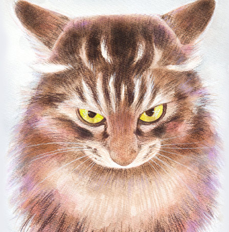 �y�b�g����G���� �������T���v��(�ڍ�)�L�x���K�� ���R��,���R�s,�q�~�s,�ÎR�s,�ʖ�s