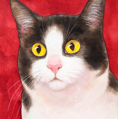 �y�b�g����G���� �������T���v��(�ڍ�)�L���K�}�t�B�� ���R��,���R�s,�q�~�s,�ÎR�s,�ʖ�s