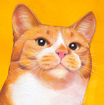 �y�b�g����G���� �������T���v��(�ڍ׃T���l�C���p�O ��