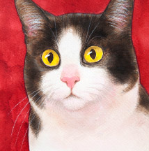 �y�b�g����G���� �������T���v��(�ڍ׃T���l�C�����u���h�[���E���g���[�o�[ ��