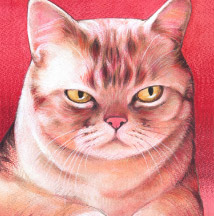 �y�b�g����G���� �������T���v��(�ڍ׃T���l�C���W���b�N�E���b�Z���E�e���A ��