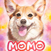 �y�b�g����G.�ё��搻�� ������уT���l�C���t�����`�E�u���h�b�O ������,�����s,���n�s,��s