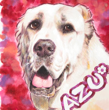 �y�b�g����G.�ё��搻�� ������уT���l�C�����[�N�V���[�E�e���A �����s,�`��,���c�J��,���n��,��c��,������,�����q�s